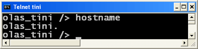 hostname