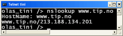 nslookup